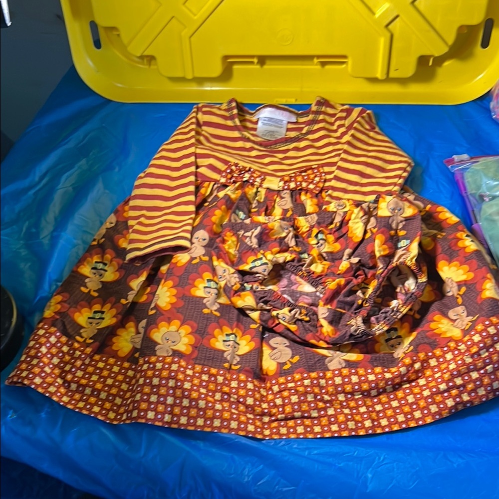 Striped and Turkey Baby Dress